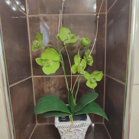 In - Balaton 19786 Daire Siofok